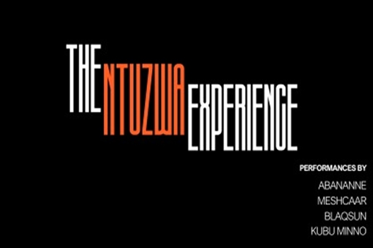 THE NTUZWA EXPERIENCE